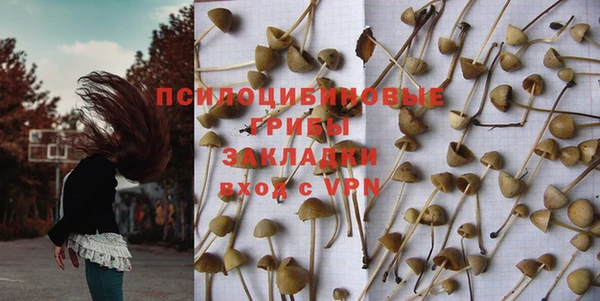 дживик Абинск