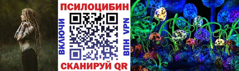omg зеркало Нерчинск Псилоцибиновые грибы Psilocybine cubensis
