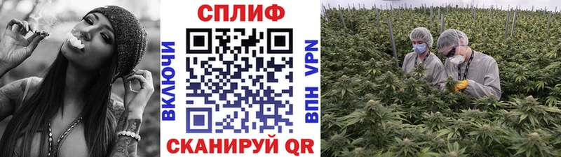 купить наркотики сайты  Нерчинск  Марихуана Amnesia 